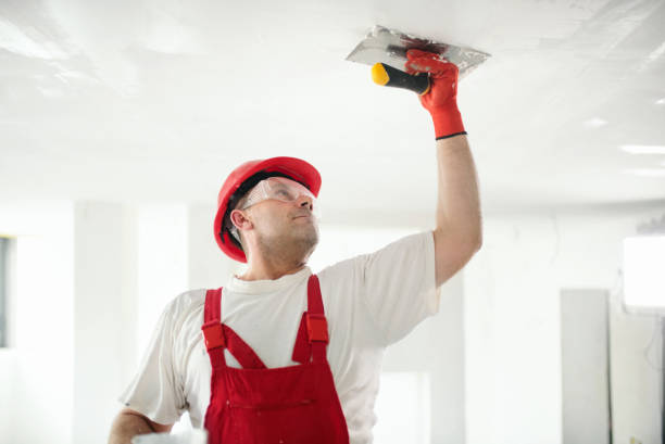 Wallpaper Removal and Painting in Wayne, WV